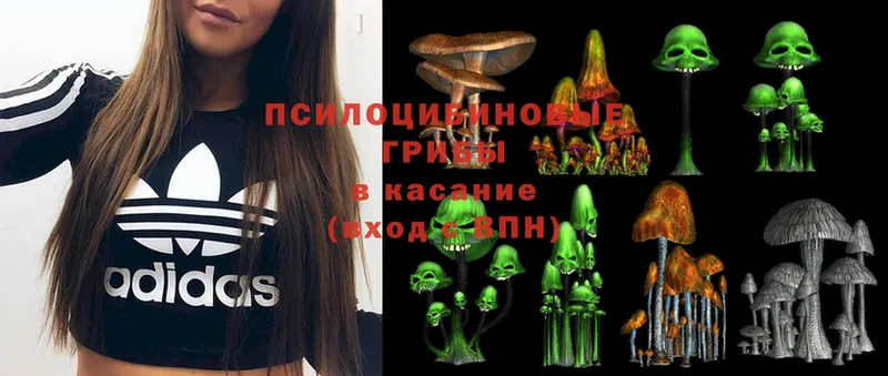 Галлюциногенные грибы Psilocybine cubensis  где купить наркотик  Дегтярск 